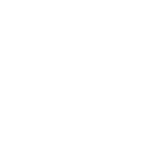 SEO magnifying glass