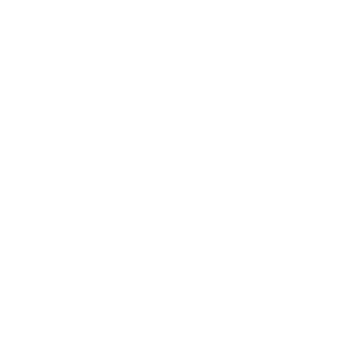 SEO magnifying glass